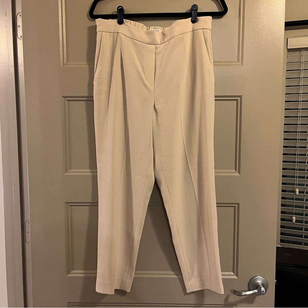Aritzia Babaton Conan Pant